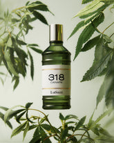 LSB167T_02